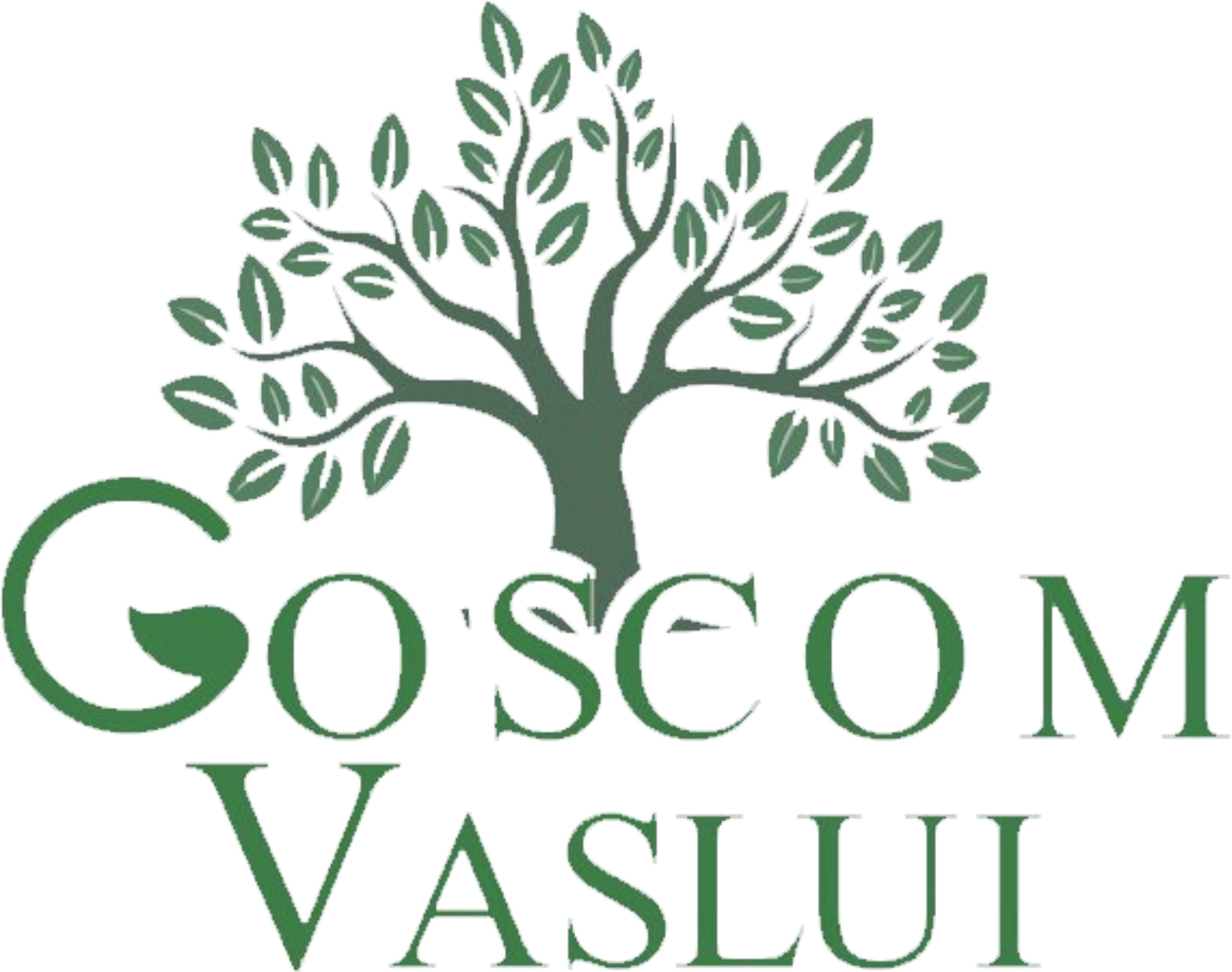 Goscom Vaslui SA